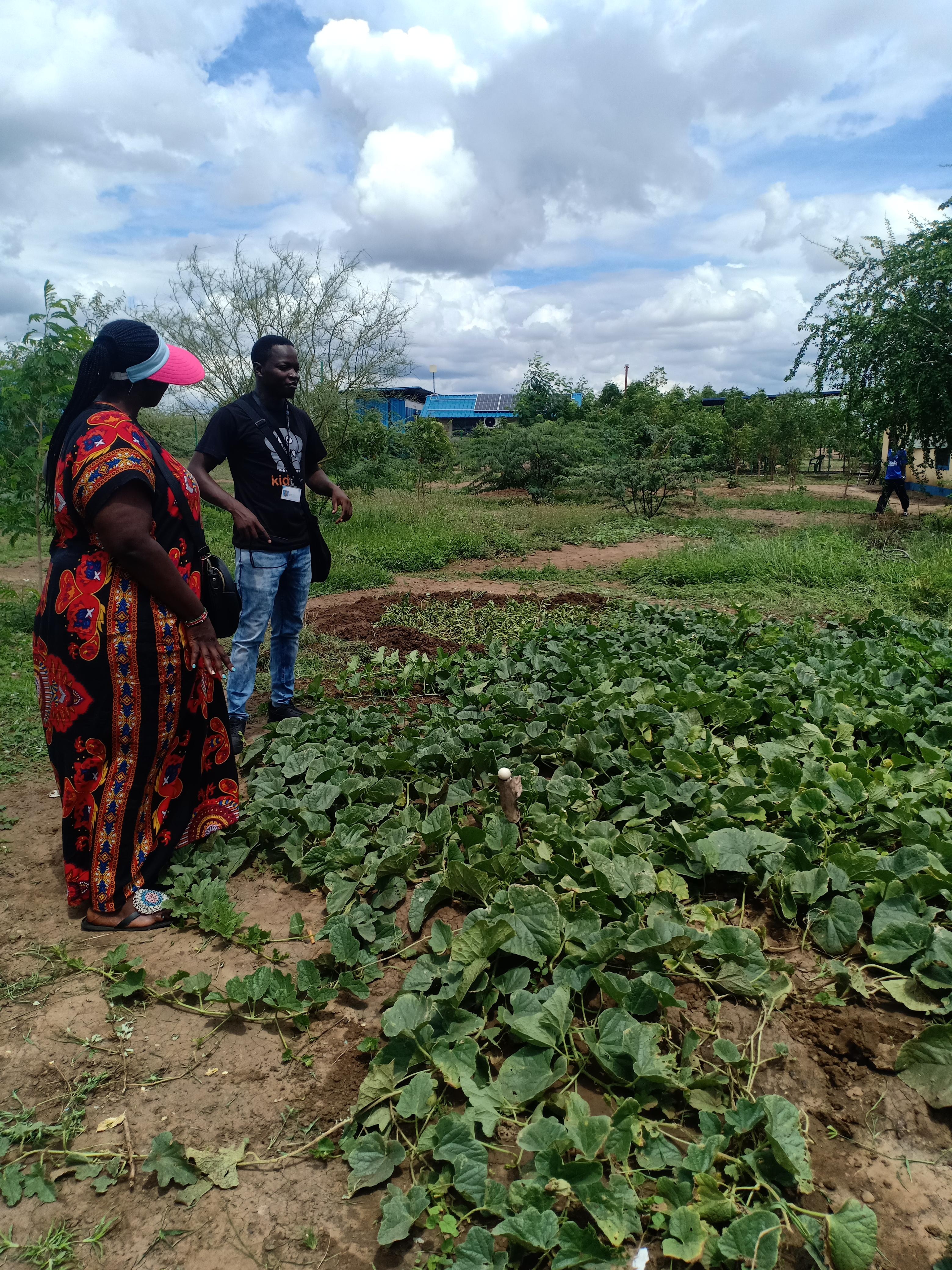 farmers-discussing-crop-growth-sustainable-agriculture.jpg